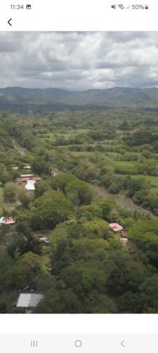 an aerial view of a forest of trees at Cabaña de Lucas in Loma Bonita