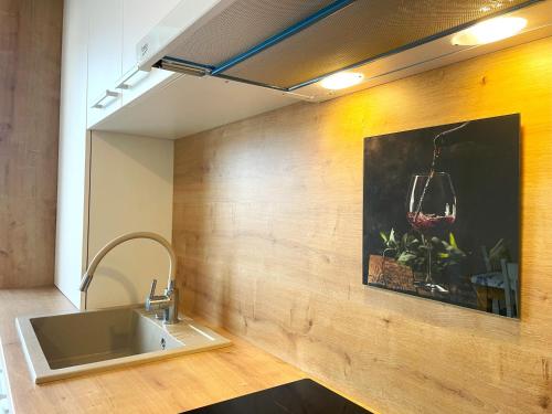 una cucina con un lavandino e un quadro sul muro di Bella Vista Green Apartment a Braşov