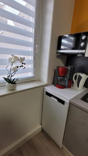 Dapur atau dapur kecil di Apartment in ruhiger Südvorstadt