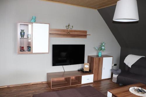 TV a/nebo společenská místnost v ubytování Pension und Apartment Landhaus Fricke