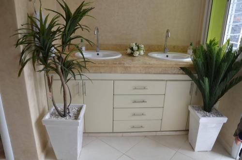 a bathroom with two sinks and two potted plants at Maison bien équipée in Tiznit