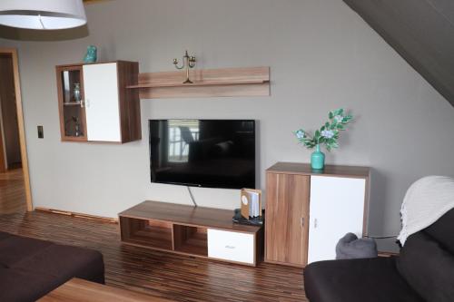 TV a/nebo společenská místnost v ubytování Pension und Apartment Landhaus Fricke
