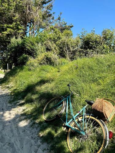 un vélo bleu garé sur le côté d'un sentier dans l'établissement Ty Juline - Bord de mer et chemin de randonnée GR34, à Guissény