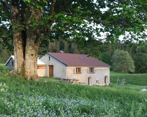 Gîte La Petite Grange - En pleine nature ressourcement et randonnée