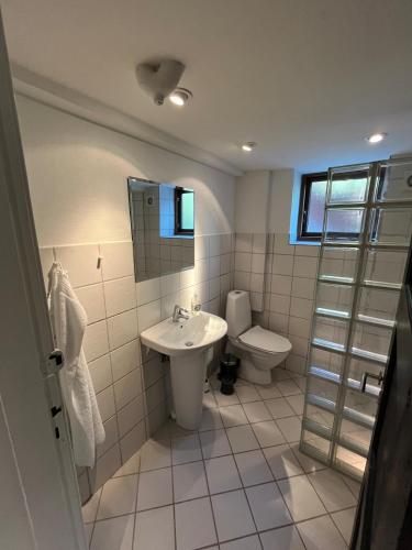 a bathroom with a sink and a toilet at Centralt værelse med bad og køkken in Herning