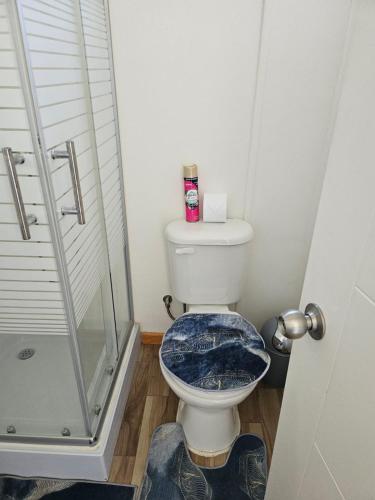San JavierにあるHostalnerのバスルーム(ガラス張りのシャワー付きトイレ付)