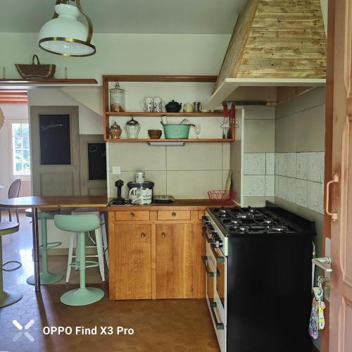 - une cuisine équipée d'une cuisinière noire et d'un comptoir dans l'établissement La maison au Vert, à Auxerre