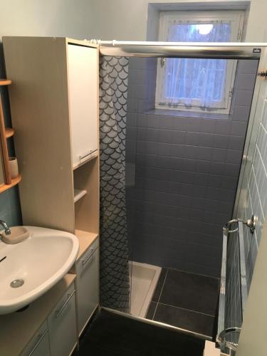 a bathroom with a shower and a sink at Gite de la Croix in Briantes