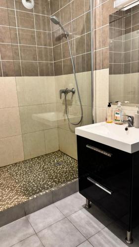 une salle de bain avec une douche, un lavabo et une baignoire dans l'établissement Comfortable furnished apartment, à Châteauroux