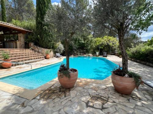 - une piscine avec 2 arbres en pots à côté dans l'établissement Havre de Paix, à Carcès