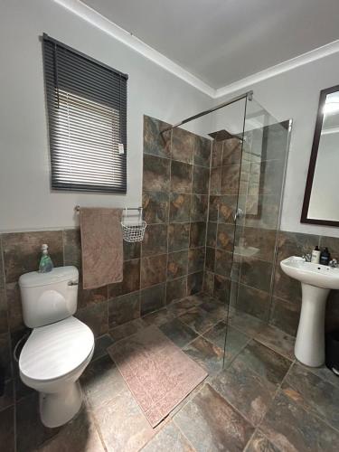 a bathroom with a toilet and a shower and a sink at Kufihliwe Lodge in Ingogo
