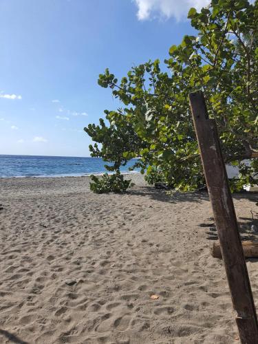 a wooden post in the sand on a beach at Appartement cosy au Carbet avec balcon et vue sur mer - 70 m² in Le Carbet