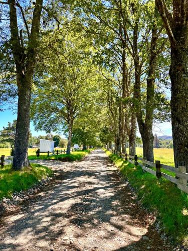 a dirt road with trees and a fence at La Casa del Bosque in Neltume
