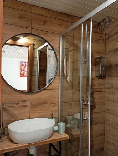 a bathroom with a sink and a mirror at Захарова Оселя БАСЕЙН на території є Чан - Джакузі in Slavske