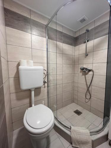 a bathroom with a toilet and a shower at Centrum Rezidencia Pápa in Pápa