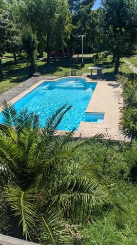 a swimming pool in a park with a palm tree at Mishki Wasi - Dulce Hogar Magdalena in Magdalena