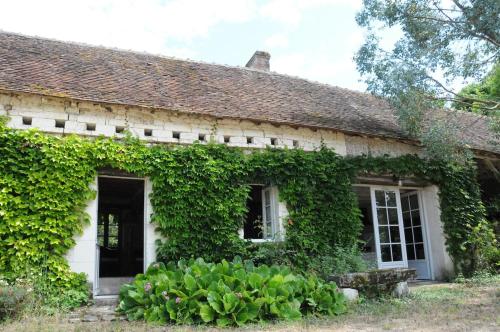 une vieille maison recouverte de lierre dans l'établissement Les Berthiers - région des châteaux et des vignes, à Sepmes