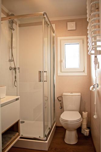 a bathroom with a toilet and a glass shower at Chata Idylka - Nová chata se zahradou in Loučná nad Desnou
