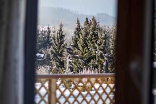 a view from a window of trees in the snow at Chata Idylka - Nová chata se zahradou in Loučná nad Desnou