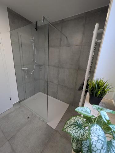 a shower with a glass door in a bathroom at Schlosspark Apartments in Flechtingen