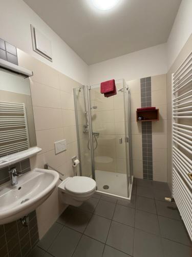 a bathroom with a shower and a toilet and a sink at Gästehaus Schweiklberg in Vilshofen an der Donau