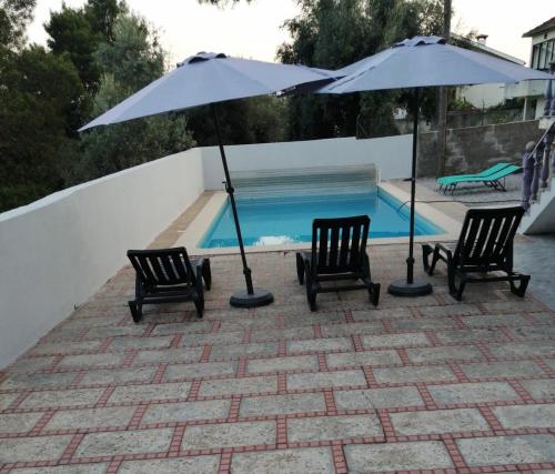 two chairs and two umbrellas next to a pool at Catloc & Kitcat Alojamento Local in Costa de Além