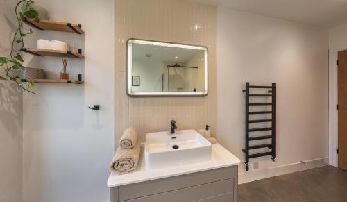 a bathroom with a white sink and a mirror at Lodge Barn Annexe in Hardwick