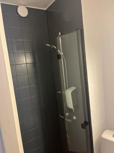 a bathroom with a glass shower with a toilet at Ellivuori, Ellin Pooli 5 in Sastamala