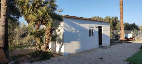 a small white building next to a palm tree at Mini house Apartamento Individual in Las Torres de Cotillas