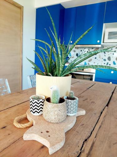 une plante en pot assise sur une table en bois dans l'établissement Grange rénovée avec vue dans village paisible, à Pruines