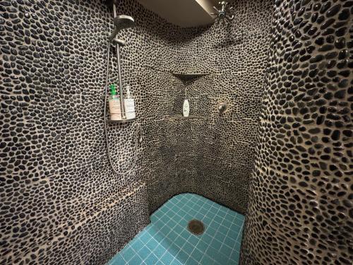 Koupelna v ubytování Guesthouse in Coastal Del Mar, California