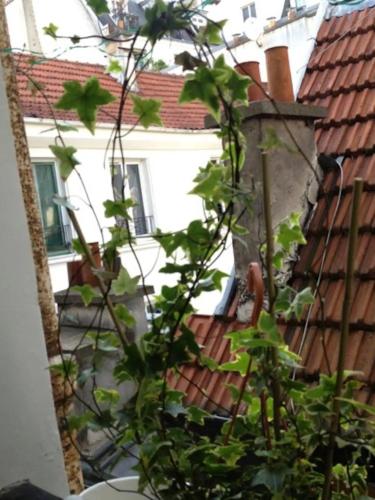 Studio en plein cœur de Paris