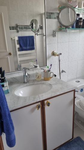 a bathroom with a sink and a mirror and a toilet at Habitaciones Dobles Valdivia, Isla Teja in Valdivia
