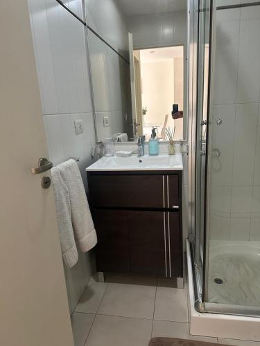 a bathroom with a sink and a shower at Boulogne Design Suites in Mendoza