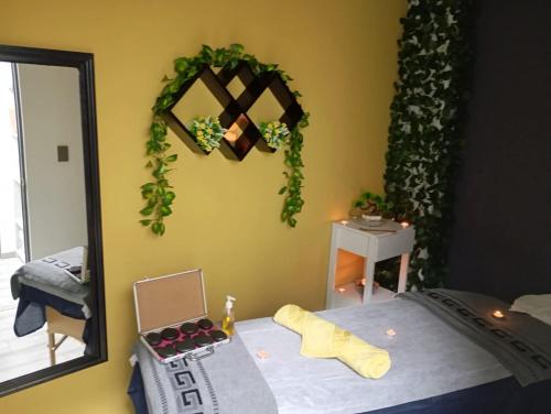 a bedroom with a bed and a mirror at ROOMS for rent in Mexico City