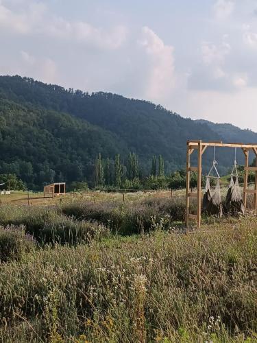 Природа в окрестностях отеля типа «постель и завтрак»