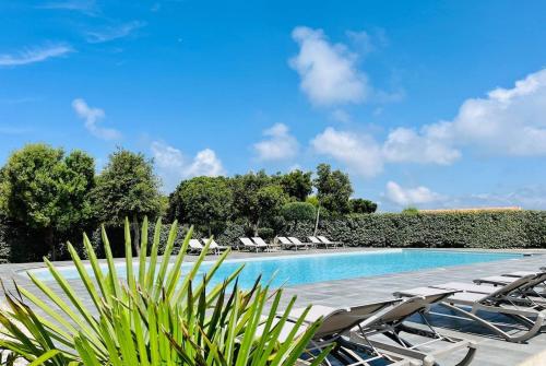 - une piscine avec des chaises longues et des arbres dans l'établissement BONIFACIO Villa U ARANCIU, à Bonifacio