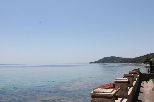 a view of a lake with ducks in the water at Villa Maria - Mola Suites in Kassandria
