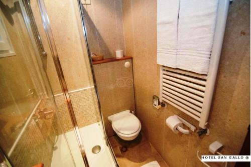 a small bathroom with a toilet and a shower at H O T E L S A N G A L L O l in Venice