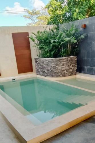 a swimming pool in the backyard of a house at Casa Cactus Luxury Villa in Bacalar