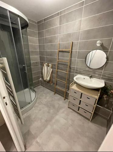 une salle de bain avec un lavabo, une douche et un miroir dans l'établissement Maison 3 chambres Vertaizon, à Vertaizon