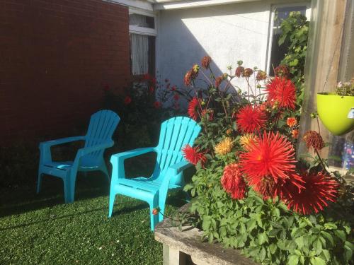 two blue chairs sitting in a yard with flowers at Thomas's Catlins Lodge and Camp Ground in Owaka