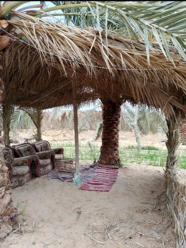 Fotografie z fotogalerie ubytování Sunset Tree Camp v destinaci Al Manshīyah