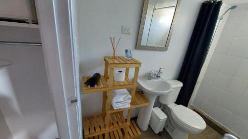 a bathroom with a sink and a toilet and a mirror at Loft a pasos del centro con estacionamiento in Los Ángeles