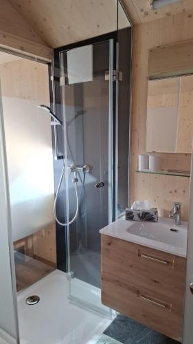 a bathroom with a shower and a sink at Tiny House in Sankt Johann im Pongau