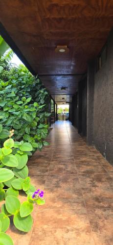 Galería fotográfica de Apartamentos Tupuna Lodge en Hanga Roa