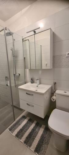 Ένα μπάνιο στο Apartments DaRi
