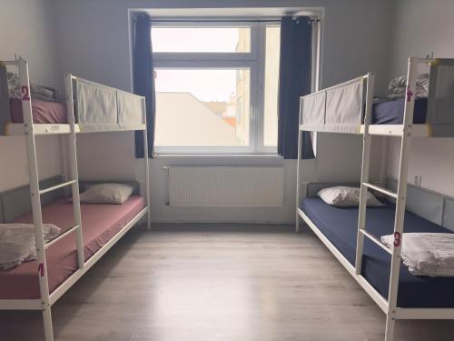 Elephants Private Rooms