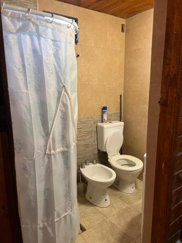 a bathroom with a toilet and a shower curtain at Cabaña Sol&Luna in Tafí del Valle