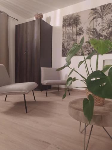 a living room with a chair and a plant at Bois de rose in Theux